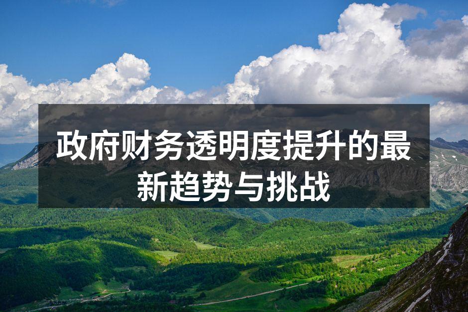 政府财务透明度提升的最新趋势与挑战