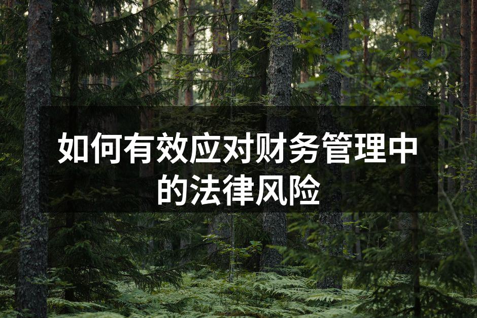 如何有效应对财务管理中的法律风险